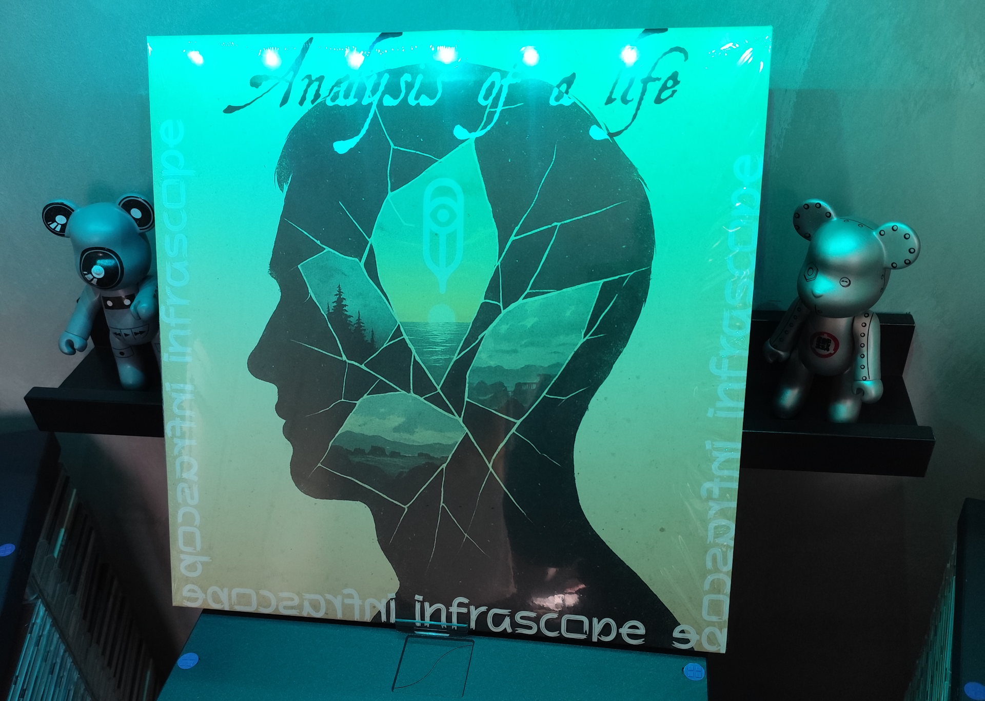 Vinyl record, 8 songs